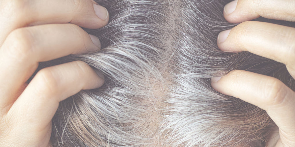 Looking Healthy vs. Being Healthy: What Styling Products and Treatments Actually Do to Your Hair