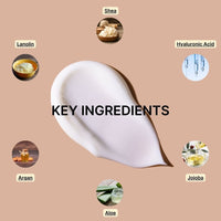 A cream smear labeled KEY INGREDIENTS is shown at the center, surrounded by icons for Shea, Hyaluronic Acid, Jojoba, Aloe, Argan, and Lanolin. Beige background. For Basic Maintenances Blemish-Free Body System.