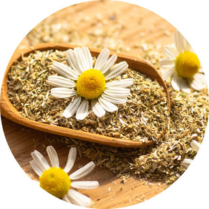 Chamomile