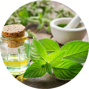 Peppermint Oil