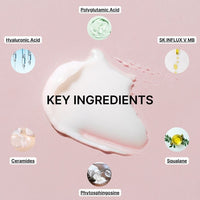 A smear of cream labeled KEY INGREDIENTS is centered on a pink background, surrounded by icons for Polyglutamic Acid, Hyaluronic Acid, SK INFLUX V MB, Ceramides, Squalane, and Phytosphingosine from Basic Maintenances Picture-Perfect Face (Super Boost).