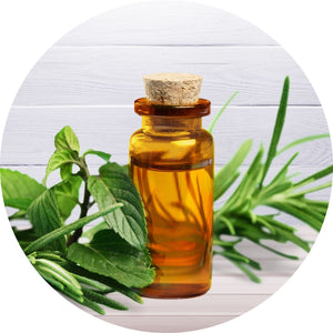 Tea Tree Oil
