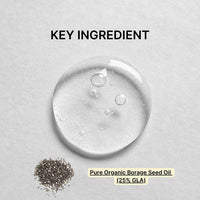 The Everything Oil - Basic Maintenance